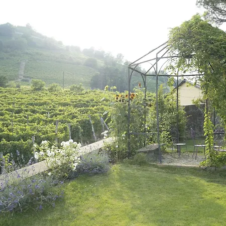 Villa Vigne Di Fagnano - Langhe, Cuneo