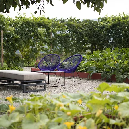 Vigne Di Fagnano - Langhe, Cuneo Villa *